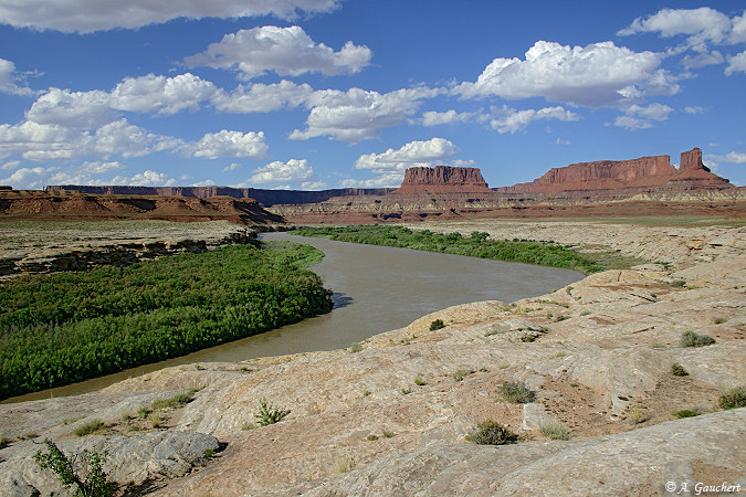 Green River